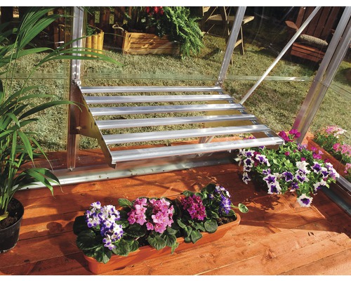 Imagine din interiorul unei sere cu scări și plante în ghivece cu flori