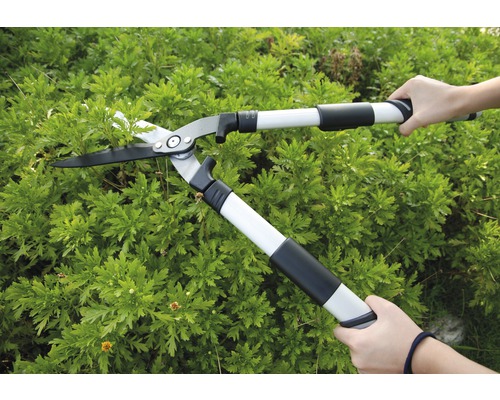 O persoană folosește un foarfece de gard viu cu mâner telescopic pentru a tăia un gard viu.