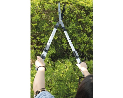 Persoană care taie un gard viu cu o foarfecă de gard viu