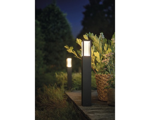 Vedere grădină cu două lumini exterioare pentru iluminarea căii