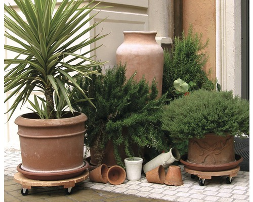 Ghivece pe roți cu diverse plante și ghivece în aer liber.