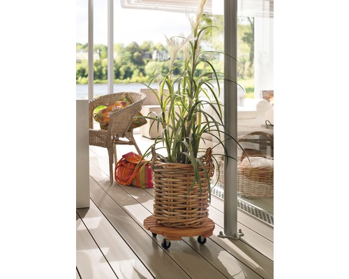 Plantă decorativă într-un coș pe un suport cu role pe o terasă.