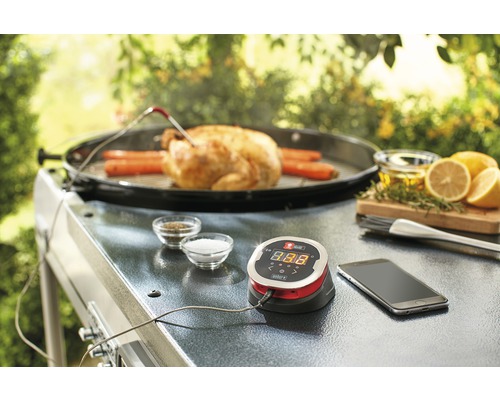 Scenă cu un grătar, un pui, morcovi, condimente, lămâie, ulei și un termometru digital.