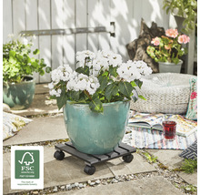 Ghiveci cu hortensii pe suport cu rotile pentru plante, în exterior, cu sigiliul FSC