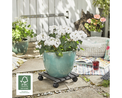 Ghiveci cu hortensii pe suport cu rotile pentru plante, în exterior, cu sigiliul FSC