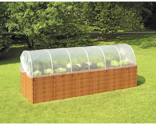 Răsadniță înălțată cu tunel din folie în grădină