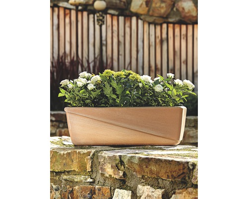 Jardinieră dreptunghiulară cu plante pe un zid
