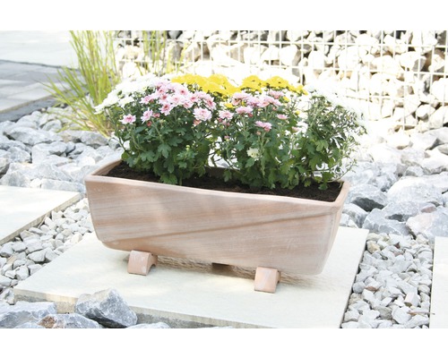 Jardinieră dreptunghiulară din teracotă cu flori în grădină