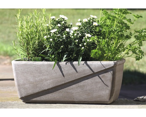 Jardinieră din beton cu ierburi și flori albe