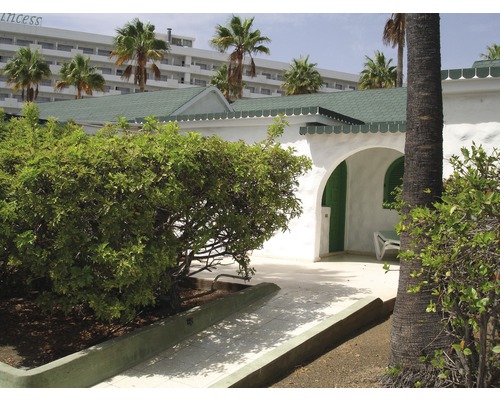 Vedere exterioară a unei case albe cu obloane verzi și acoperiș sub palmieri