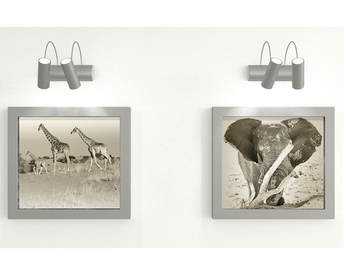 Decor de perete cu două imagini cu animale și două spoturi