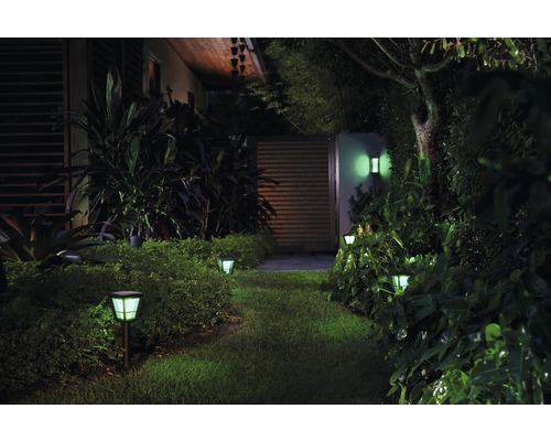 Alee de grădină iluminată cu corpuri de iluminat exterioare și aplice de perete