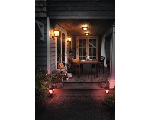 Terasa iluminată cu masă, scaune, plante şi iluminat exterior pentru o atmosferă plăcută de seară.