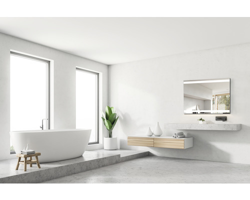 Baie cu cadă independentă, lavoar, oglindă și plantă de apartament.