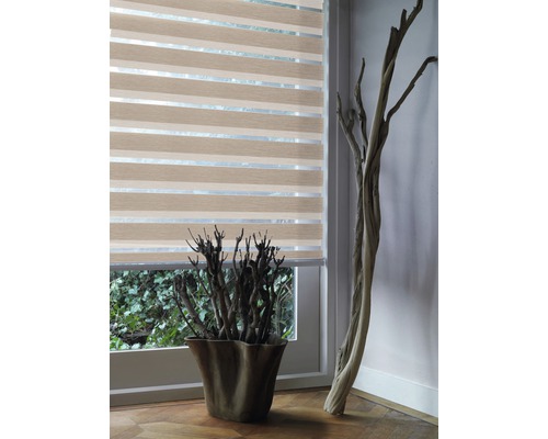 Stor dublu cu dungi în fața ferestrei cu plantă și decorațiune