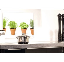 Scenă de bucătărie cu oală pe aragaz și imagine cu ierburi aromatice ca protecție împotriva stropilor