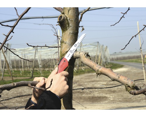 O persoană taie o ramură cu un fierăstrău de mână.