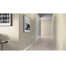 Hol cu uși, podea laminată și vopsea de perete