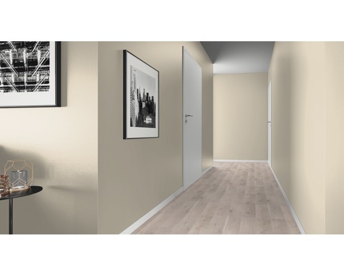 Hol cu uși, podea laminată și vopsea de perete