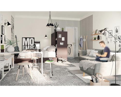 Living decorativ cu birou, pat, canapea și diverse accesorii