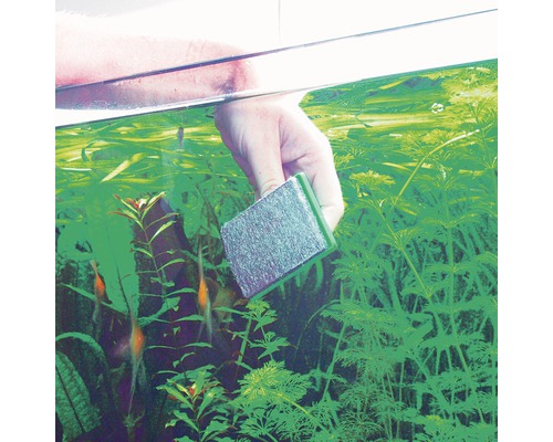 Curățare acvariu cu un dispozitiv de îndepărtare a algelor