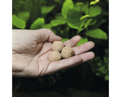 Mână care ține bile de îngrășământ pentru plante de acvariu