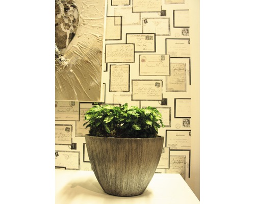 Plantă decorativă de interior într-un ghiveci în fața unui perete cu model de plic