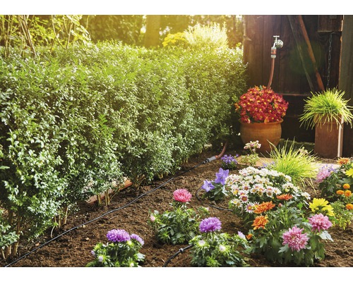 Sistem de irigare a grădinii cu plante și gard viu în grădină