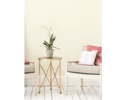 Scenă cu măsuță laterală, plantă la ghiveci și două scaune cu perne