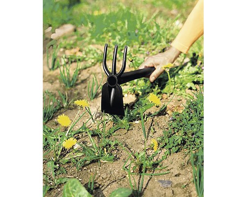 Săpăligă de grădină cu trei dinți, folosită în grădină.