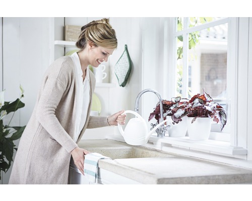 Femeie udând plante în ghivece cu o stropitoare lângă chiuvetă