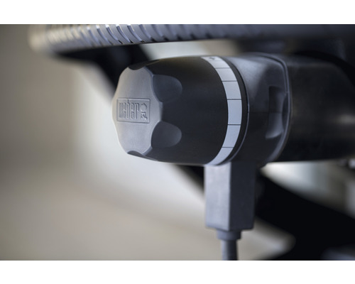 Sigla Weber pe regulatorul unui grătar