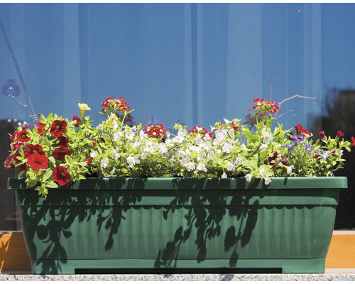 Un jardiniere verde cu flori colorate în fața unei ferestre