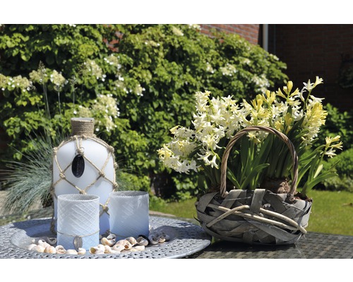 Scenă decorativă cu sticlă, lumânări și zambile într-un coș de răchită