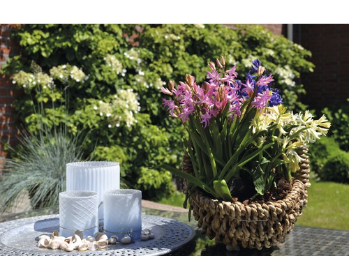 Aranjament floral cu zambile într-un coș lângă felinare pe o masă în grădină