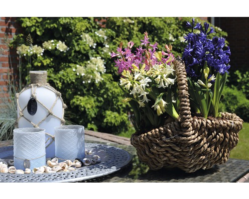 Zambile decorative în coș, sticlă și suporturi pentru lumânări pe o masă în grădină.