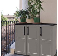 Dulap de scule gri cu două plante deasupra pentru exterior.