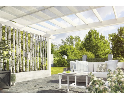 Terasa cu pergolă, trunchiuri de mesteacăn ca paravan de confidențialitate și mobilier de grădină