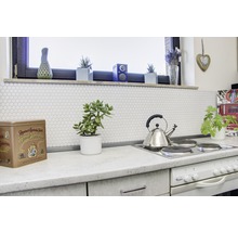 Scenă de bucătărie cu aragaz electric, ceainic, faianță și plante de interior.