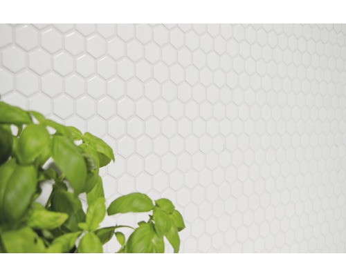 Faianță de perete din plăci ceramice hexagonale cu plantă de busuioc