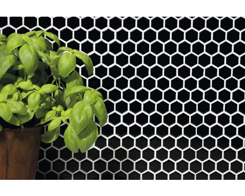 Imagine de perete cu plăci hexagonale negre și plantă la ghiveci