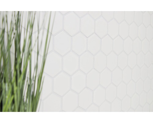 Fundal cu plăci hexagonale albe și iarbă decorativă neclară