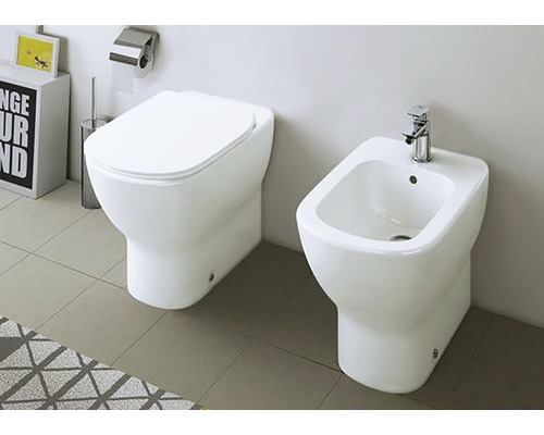 Toaletă și bideu din ceramică sanitară în baie