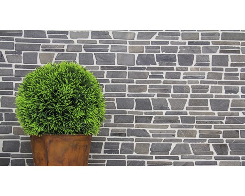 Zid decorativ de piatră cu plantă la ghiveci