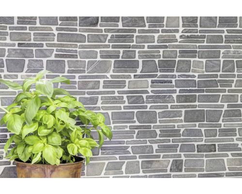 Faianță de perete cu aspect de piatră cu plantă de busuioc