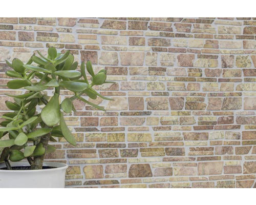 Perete decorativ de piatră cu plantă la ghiveci în interior