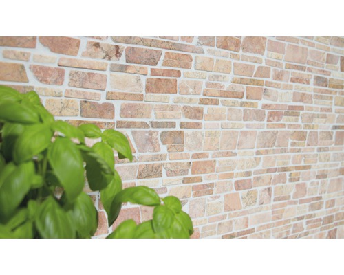 Decor de perete cu aspect de piatră și plantă