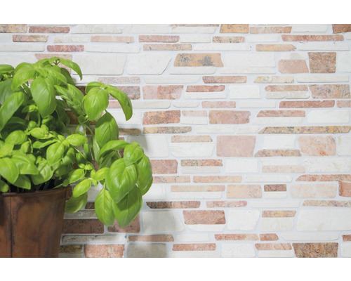 Design de perete cu placare din piatră și plantă de busuioc în ghiveci