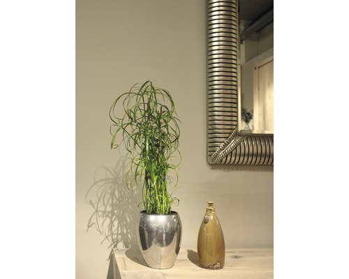 Scenă de interior cu o perie pentru sticle într-un ghiveci, o vază decorativă și o oglindă