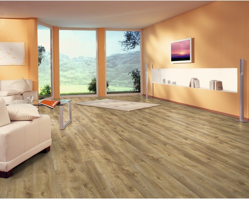 Cameră de zi cu parchet laminat, canapea și fațadă cu ferestre